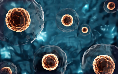 Koliko Japan riskira s odobrenjem jedinstvenih i nedovoljno testiranih lijekova na bazi matičnih stanica?