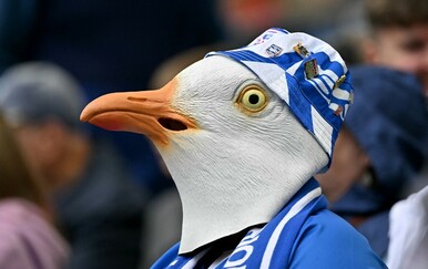 Nevjerojatne scene! Golman srušio galeba loptom na utakmici pa ga oživio!