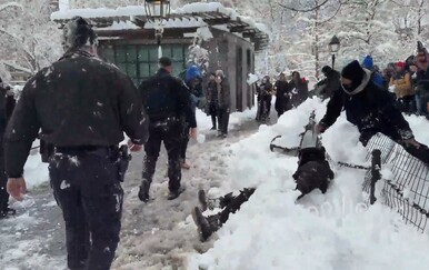 Zbog incidenta tijekom grudanja u New Yorku je izbio sukob Zohrana Mamdanija i policije