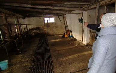 Što s blagom? Poljoprivrednici nakon potresa - 4