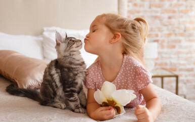 Mačka i djevojčica