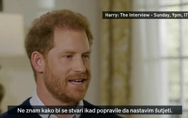 Princ Harry ponovno protiv monarije - 3