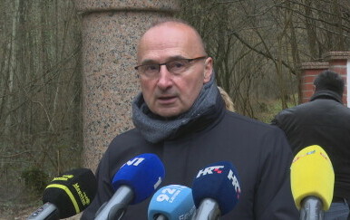 Goran Grlić Radman