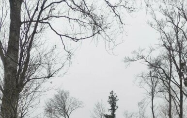 Gužva prema Sljemenu