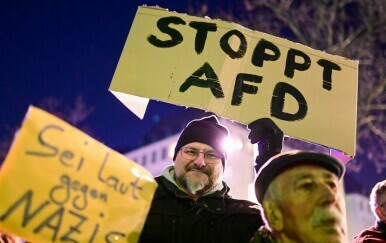 Prosvjed protiv AfD-a u Njemačkoj - 3