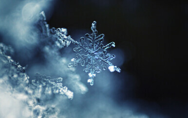Snježna pahulja, ilustracija