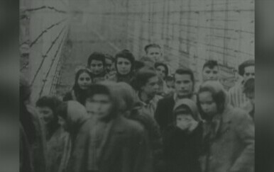 Koncentracijski logor Auschwitz - 4