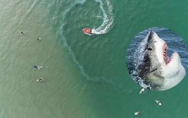 Slika mora iz zraka sa surferima i brodom te morski pas koji izvire iz vode