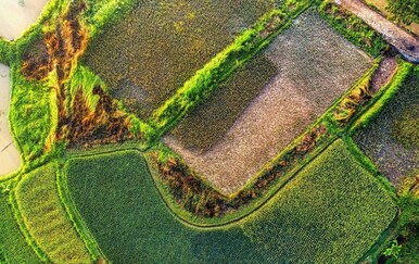 Razvitak i modernizacija ruralnih područja u Republici Hrvatskoj naša je gospodarska strategija
