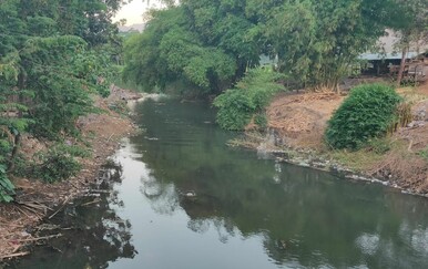 Krokodil u Indoneziji rastrgao 14-godišnjaka