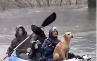 Tri djevojke u Nikšiću spasile pse iz poplavljene kuće