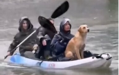 Tri djevojke u Nikšiću spasile pse iz poplavljene kuće