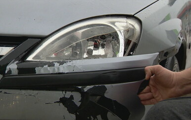 Naleti vozila na divljač u Istri