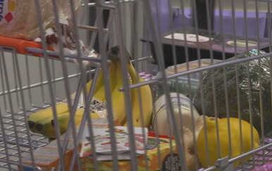 Poznati rezultati nadzora ograničenih cijena: Na ove su nepravilnosti inspektori najviše nailazili