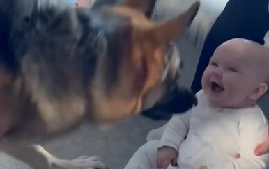 Najbolji prijatelji od malih nogu: Snimka psa i bebe raznježila internet