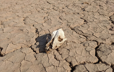 Zemlja na rubu nepodnošljive vrućine: Hoće li život na većini planeta zaista postati nemoguć?