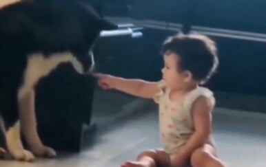 Dirljiva snimka oduševila internet, pogledajte junaka na djelu