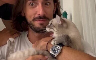 Ljubomorne mačke zadaju im probleme, vlasnici uspjeli snimiti šašavo ponašanje