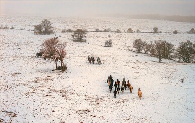 Divlji konji kod Livna: Prizori koji oduzimaju dah