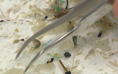 Alarmantni podaci iz Jadrana: Broj čestica mikroplastike stalno raste