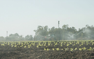 Poljoprivrednici na nogama zbog trgovinskog sporazuma: "Situacija je trenutno teška, a bit će još gore"