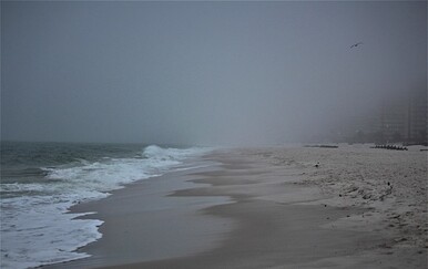 Djevojka (19) pronađena mrtva na popularnoj plaži, čopor je okružio njeno tijelo: "Bio je traumatičan i užasan prizor"