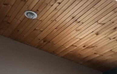 Začuli buku s plafona, a onda doživjeli šok kad su otkrili uzrok