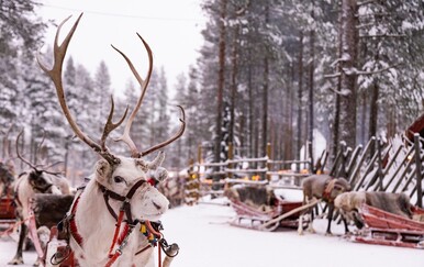 Sve što morate znati prije puta u Laponiju: Veliki vodič koji otkriva i ono što vam nitko ne kaže