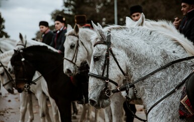 Slavonski Rio: Dođite na pokladno jahanje u Srijemu i Slavoniji i kucnite se čokanjčićima