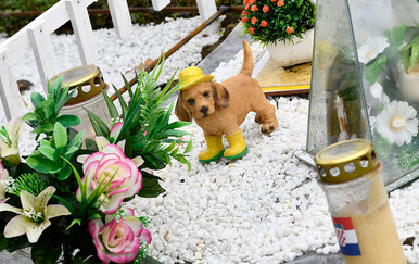 Kako pokopati uginulog kućnog ljubimca: Ove stvari ne smijete raditi, ali evo što smijete