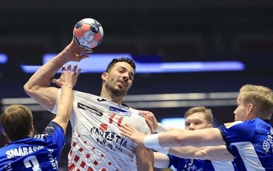 Zvonimir Srna protiv Islanda