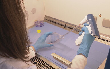 Hrvatska je korak bliže proizvodnji CAR-T terapije