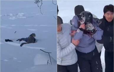Horor na skijalištu: Snježni leopard napao turisticu, internetom kruže snimke