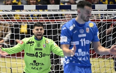 Slavić protiv Švicarske