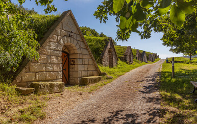 Savršeni vikend u Mađarskoj: Zimsko kupanje, vinski podrumi i istraživanje prirode
