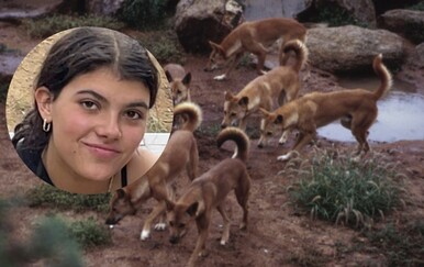 Piper je pronađena mrtva okružena čoporom pasa: Vlasti donijele drastičnu mjeru