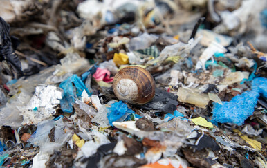 Zdravstvene poteškoće povezane s plastikom bi se mogle udvostručiti do 2040.