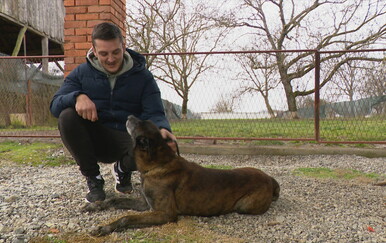 Psi koji su godinama razminiravali Hrvatsku odlaze u mirovinu