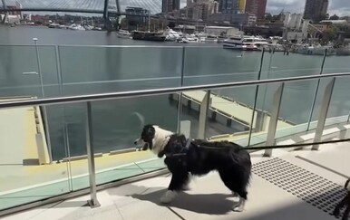 Australci žive u budućnosti: Dok se mi smrzavamo, oni pronašli rješenje za ljetni problem