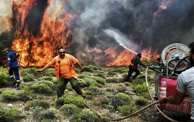 Posljedice katastrofalnog požara u Grčkoj (Foto: AFP) - 1