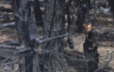 Posljedice požara/Ilustracija (Foto: Dnevnik.hr)