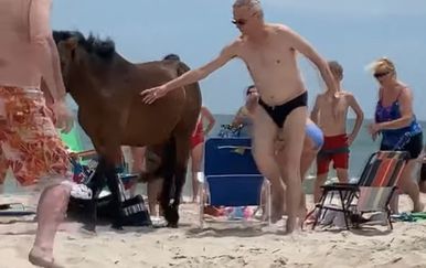 Konj na plaži (Foto: Screenshot/YouTube)