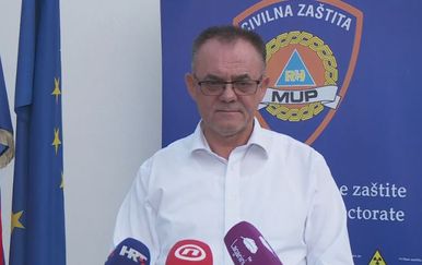 Alojz Tomašević, požeško-slavonski župan