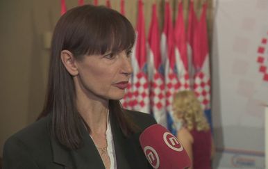 Vesna Vučemilović, Domovinski pokret