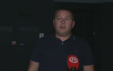 Mato Palić, ustavni stručnjak