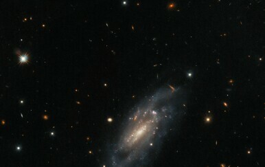Spiralna galaksija UGC 11860