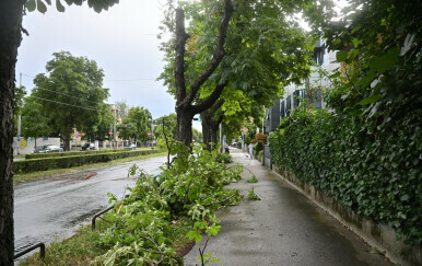 Nevrijeme rušilo grane stabala uz prometnice
