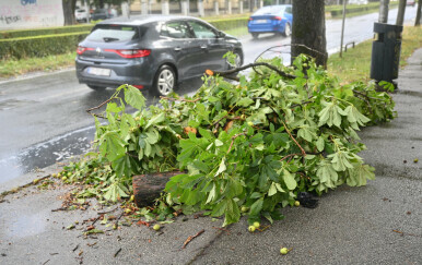 Nevrijeme rušilo grane stabala uz prometnice