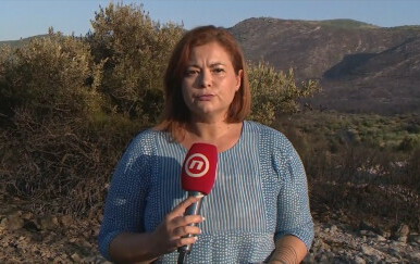 Sanja Jurišić, reporterka Nove TV