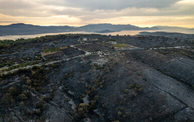Aftermath požara na otoku Čiovu - 9
